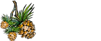 Carolina Home Mortgage Logo